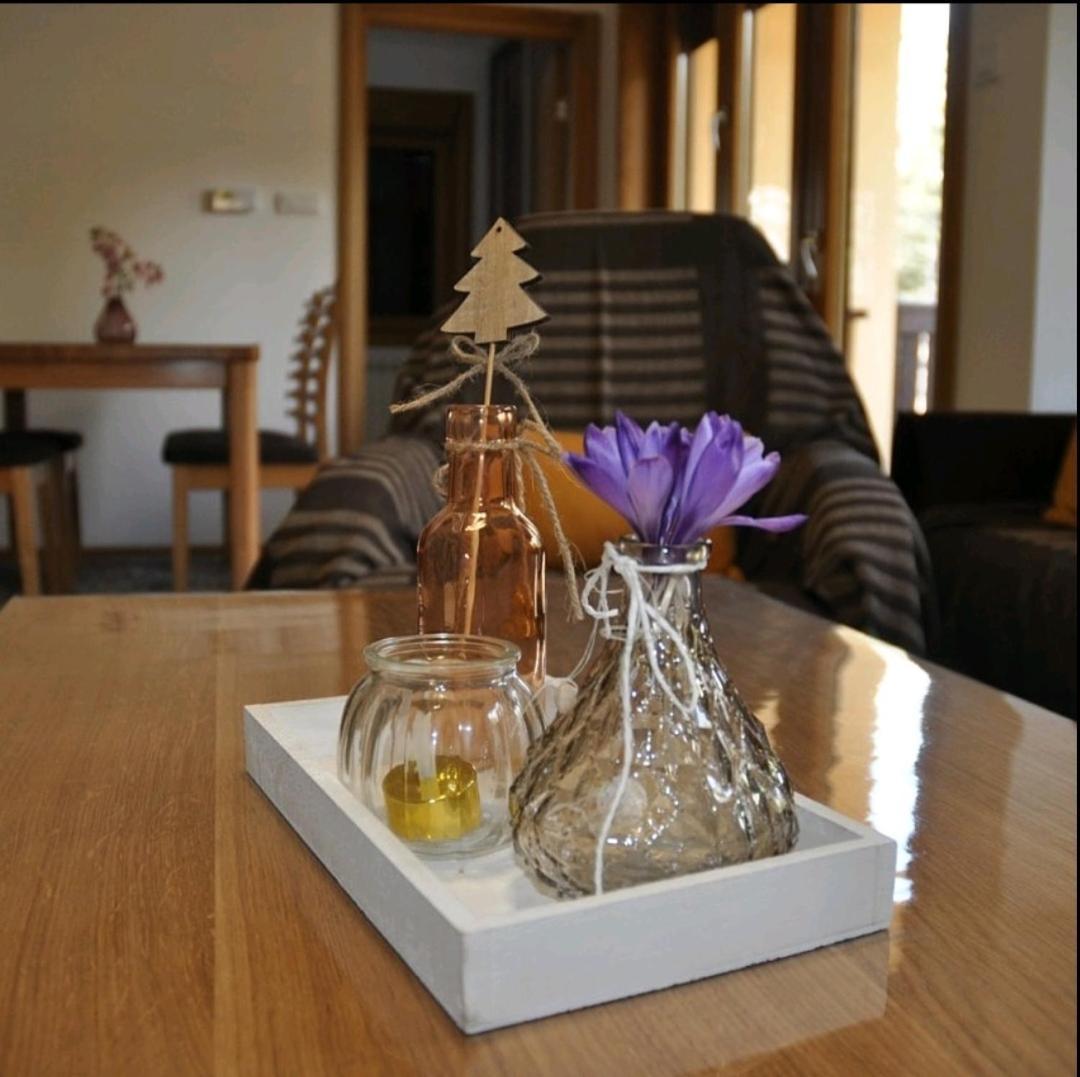 Apartment Monika Zlatibor Bagian luar foto
